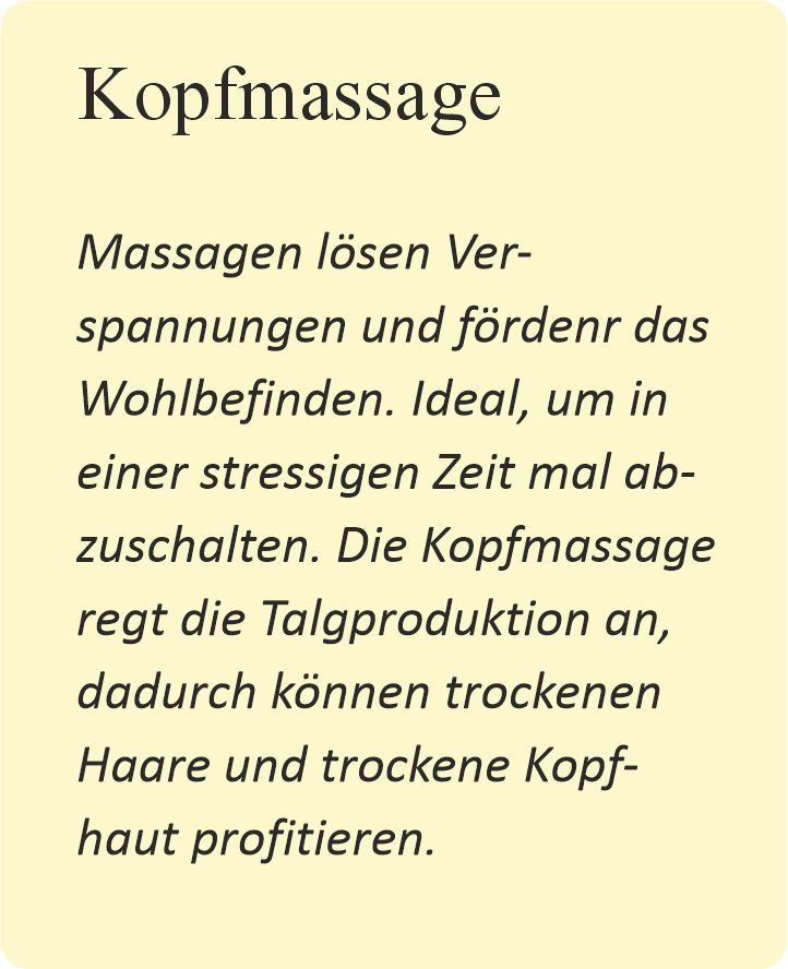 Tui Na Massage Waiblingen Kopfmassage